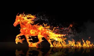 Fire Horse Cool 4k