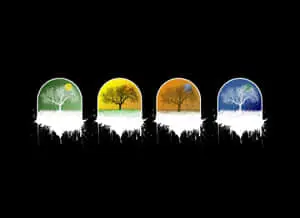 Four Seasons Abstract Trees Digital Art
