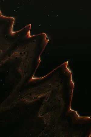 Gold And Black Abstract Art