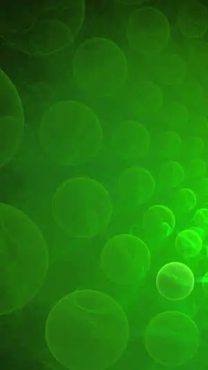 Green Abstract Background