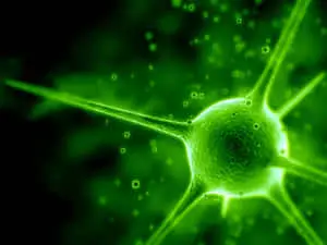 Green Abstract Background