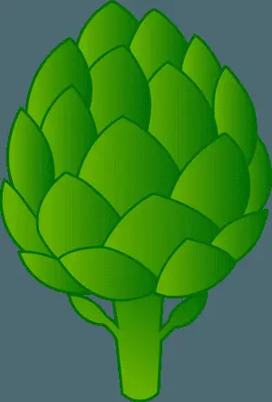Green Artichoke Vector Illustration
