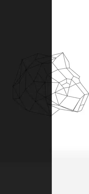  Caption: Half Black Half White Abstract Design 