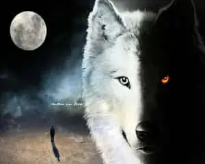 The harmonious fusion of black and white