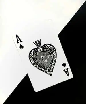 An artistic representation of harmony between black and white. 