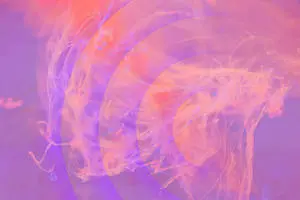 Hd Abstract Powder Pink Paint Splash