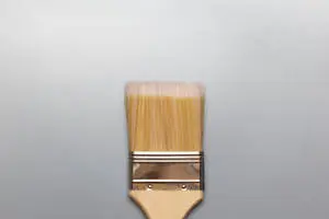 Immaculate Simplicity - Purity Defined