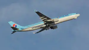 Korean Air Airbus A300 Flying