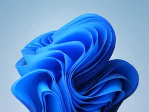 Light Blue Theme With Waves Background