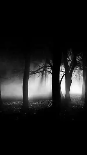 Abstract Light and Dark Lines 