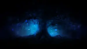 Dark yet Bright