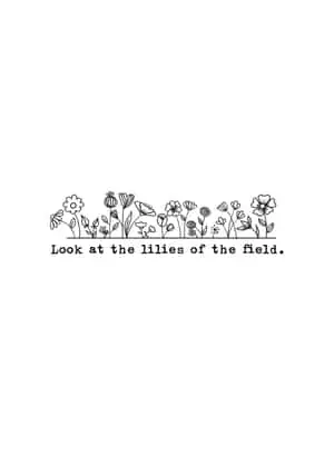 Follow the Minimalist Bible