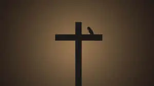 "Find Comfort in the Minimalist Bible."