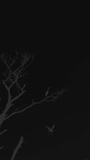 Minimalist Monochrome Abstract Design