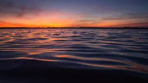 “Uncover the beauty of a minimalist nature countryside” 