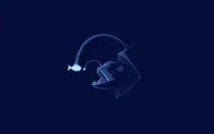 Minimalist Ocean - A Subtle and Soothing View