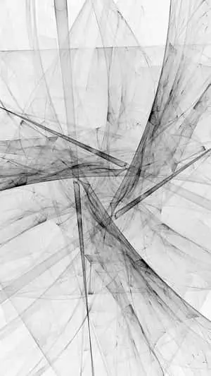 Monochrome Translucent Abstract Lines