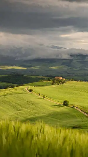 Nature Green Pictures
