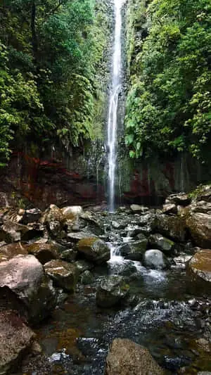 Nature Green Pictures