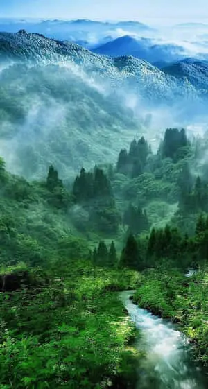 Nature Green Pictures