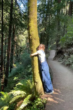 Nature Green Pictures