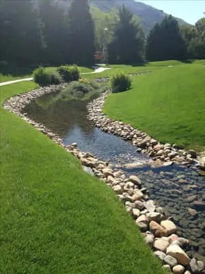 Nature Green Pictures