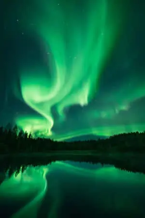 Nature Green Pictures