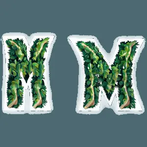 Nature Inspired Letter M PNG 06112024
