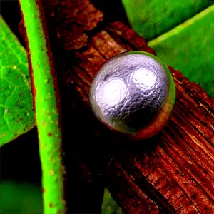 Nickel in Nature PNG 06132024