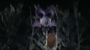 Noibat Against Dark Abstract Background