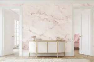 Office Pink And White Marble Wall