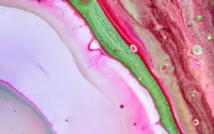 Pink Abstract Background
