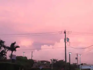 "Soft, dreamy shades of pink for a peaceful, calming feeling."