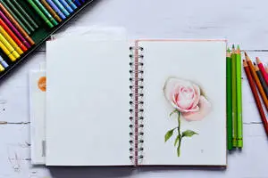 Pink Colored Pencil Drawing 