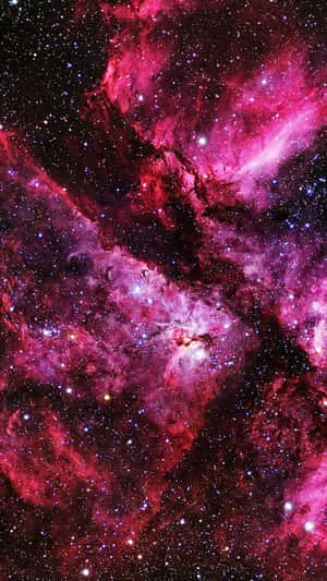 Explore the Bright Possibilities of Pink Space