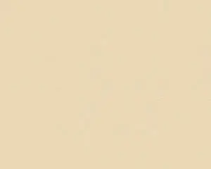 Simplicity in Beige