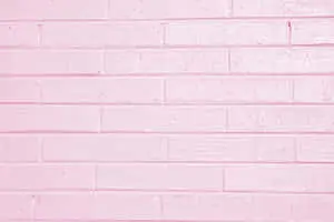 Plain Pink Brick Wall Design Desktop