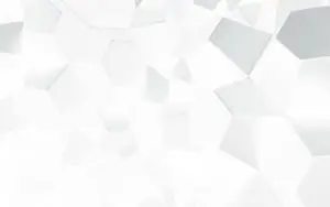 Pure White Geometric