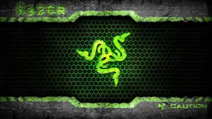 Razer Caution 4k