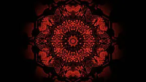 Red 4K UHD Flower Abstract