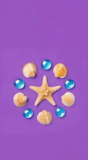 Seashell starfish wallpaper