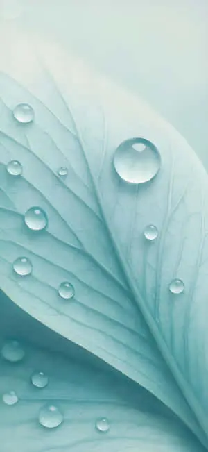 Serene Light Blue Leaf with Water Droplets