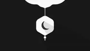 A black and white abstract design featuring almost maplike shapes