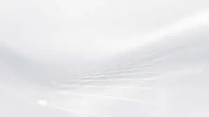 Abstraction of White