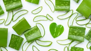 "Loving Nature: Heart-shaped Aloe Vera Slice"