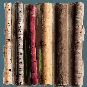 Sticks Abstract PNG 06132024
