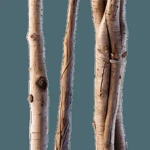 Sticks Abstract PNG 06132024