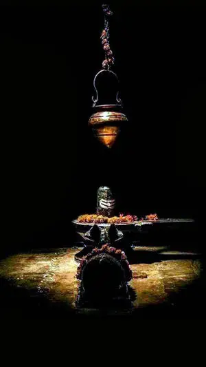 Stone Display Shiva Lingam