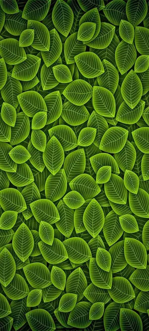 Vivo Y20 Green Leaf Pattern