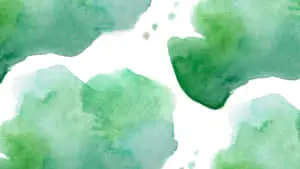 green watercolor leaves on white background